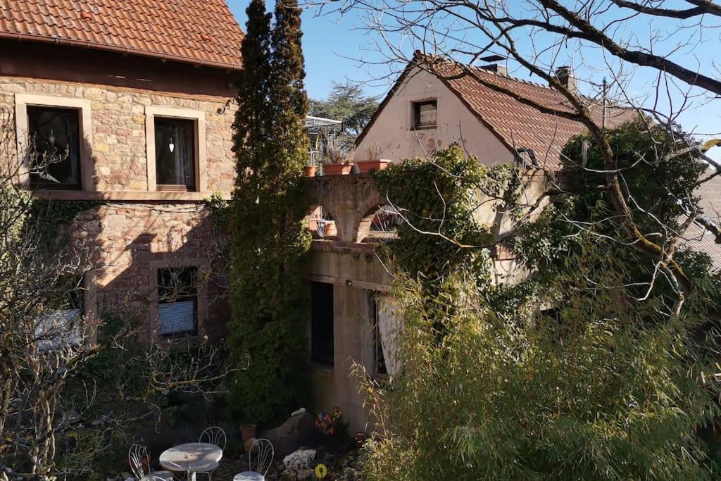 "Casita Linda "Am Donnersberg Villa Dannenfels Eksteriør bilde