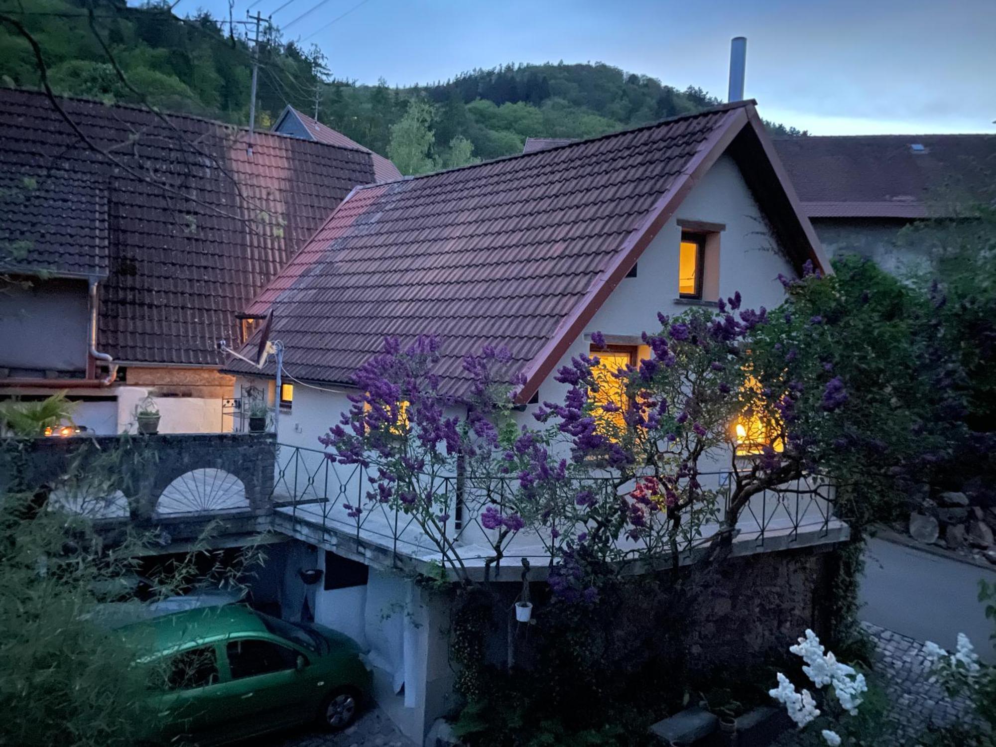 "Casita Linda "Am Donnersberg Villa Dannenfels Eksteriør bilde