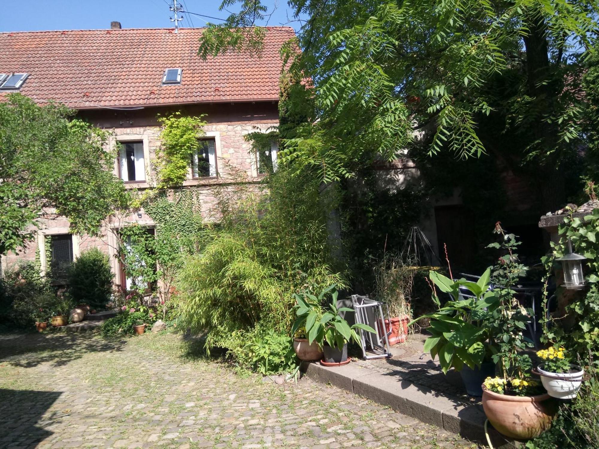 "Casita Linda "Am Donnersberg Villa Dannenfels Eksteriør bilde