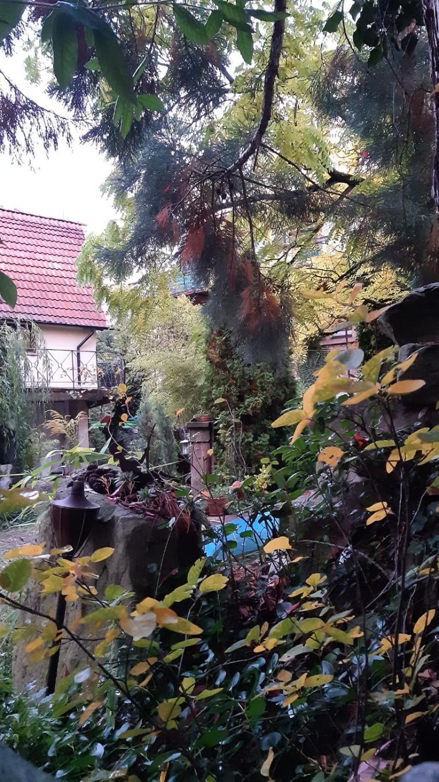 "Casita Linda "Am Donnersberg Villa Dannenfels Eksteriør bilde