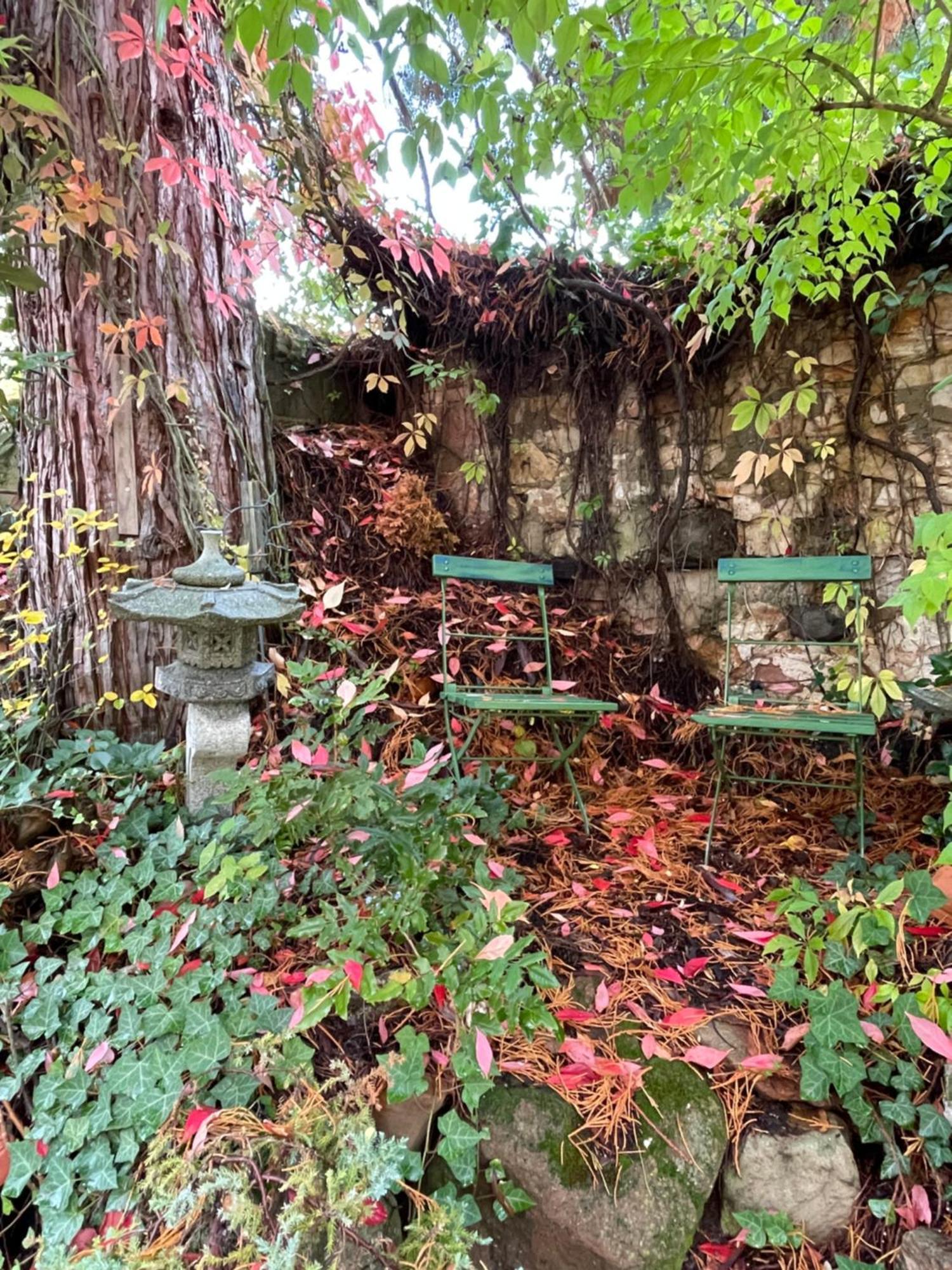 "Casita Linda "Am Donnersberg Villa Dannenfels Eksteriør bilde